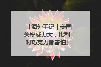 海外手记｜美国关税威力大，比利时巧克力都害怕