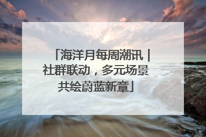 海洋月每周潮讯｜社群联动，多元场景共绘蔚蓝新章