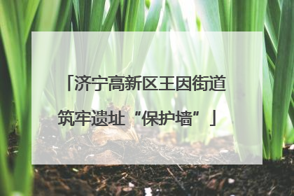 济宁高新区王因街道筑牢遗址“保护墙”