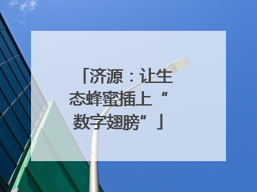 济源：让生态蜂蜜插上“数字翅膀”