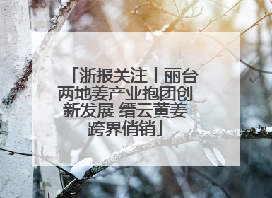 浙报关注丨丽台两地姜产业抱团创新发展 缙云黄姜跨界俏销