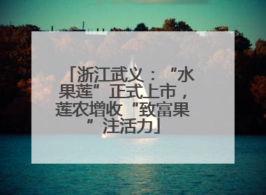浙江武义：“水果莲”正式上市，莲农增收“致富果”注活力