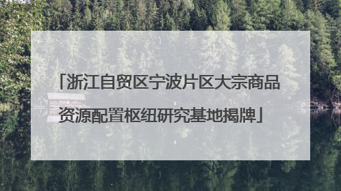 浙江自贸区宁波片区大宗商品资源配置枢纽研究基地揭牌