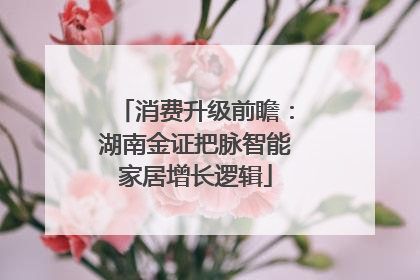 消费升级前瞻：湖南金证把脉智能家居增长逻辑