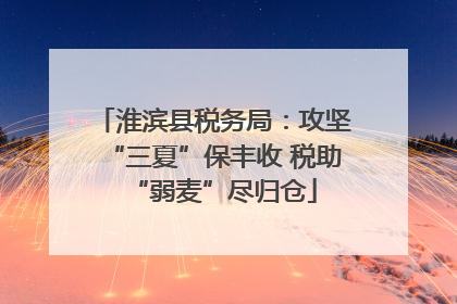 淮滨县税务局：攻坚“三夏”保丰收 税助“弱麦”尽归仓