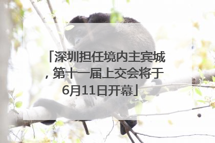 深圳担任境内主宾城，第十一届上交会将于6月11日开幕