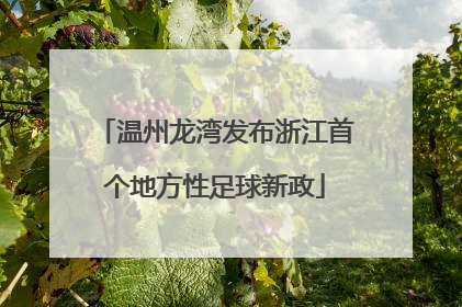 温州龙湾发布浙江首个地方性足球新政