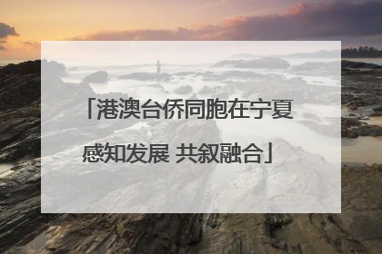 港澳台侨同胞在宁夏感知发展 共叙融合