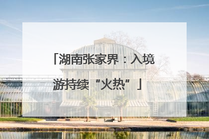 湖南张家界：入境游持续“火热”