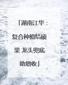 湖南江华：复合种植结硕果 龙头兜底助增收