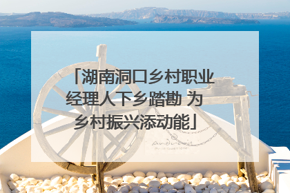 湖南洞口乡村职业经理人下乡踏勘 为乡村振兴添动能