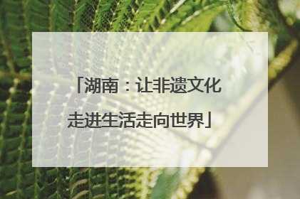 湖南：让非遗文化走进生活走向世界