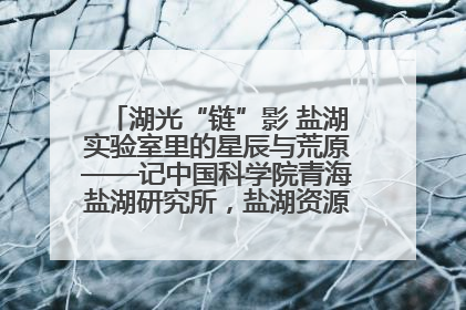 湖光“链”影 盐湖实验室里的星辰与荒原——记中国科学院青海盐湖研究所，盐湖资源化学实验室党总支书记、副主任刘忠