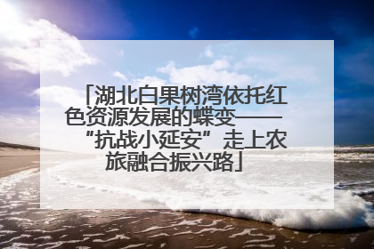 湖北白果树湾依托红色资源发展的蝶变——“抗战小延安”走上农旅融合振兴路