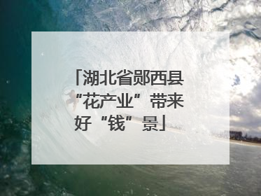 湖北省郧西县“花产业”带来好“钱”景