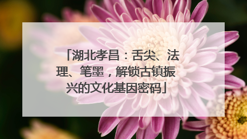 湖北孝昌：舌尖、法理、笔墨，解锁古镇振兴的文化基因密码
