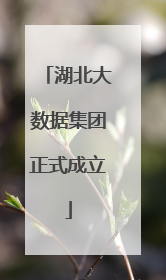 湖北大数据集团正式成立