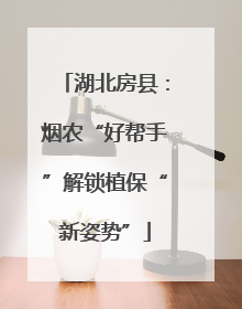 湖北房县：烟农“好帮手”解锁植保“新姿势”