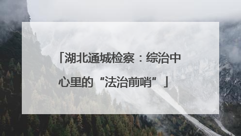 湖北通城检察：综治中心里的“法治前哨”