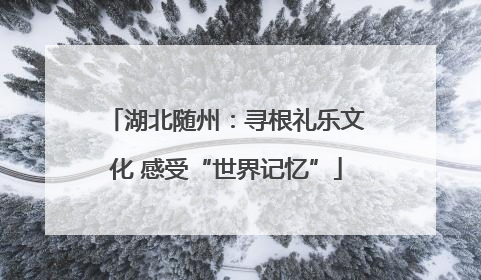 湖北随州：寻根礼乐文化 感受“世界记忆”