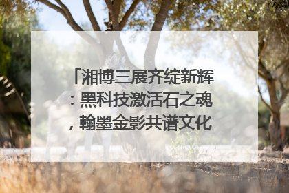 湘博三展齐绽新辉：黑科技激活石之魂，翰墨金影共谱文化遗产日华章