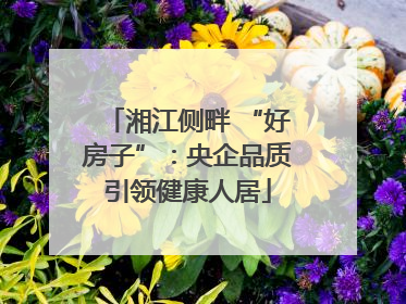 湘江侧畔 “好房子”：央企品质引领健康人居