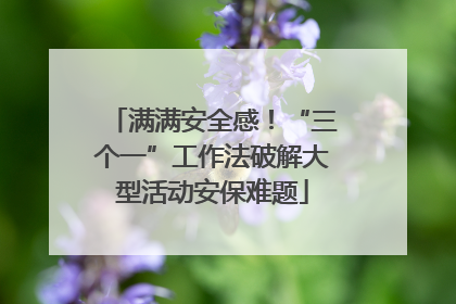 满满安全感！“三个一”工作法破解大型活动安保难题