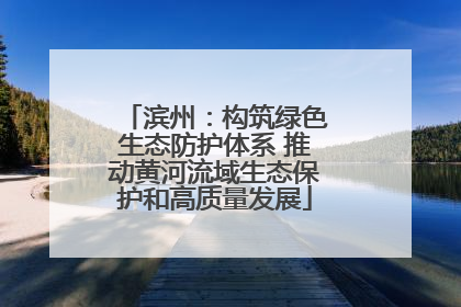 滨州：构筑绿色生态防护体系 推动黄河流域生态保护和高质量发展