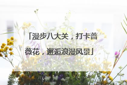 漫步八大关，打卡蔷薇花，邂逅浪漫风景