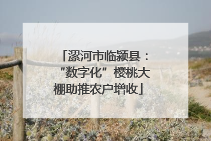 漯河市临颍县：“数字化”樱桃大棚助推农户增收