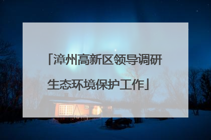 漳州高新区领导调研生态环境保护工作
