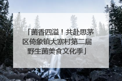 菌香四溢！共赴思茅区倚象镇大寨村第二届野生菌美食文化季