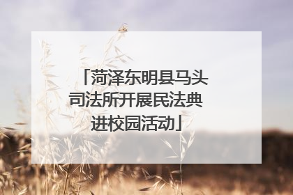 菏泽东明县马头司法所开展民法典进校园活动