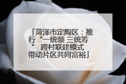 菏泽市定陶区：推行“一统领 三统筹” 跨村联建模式 带动片区共同富裕