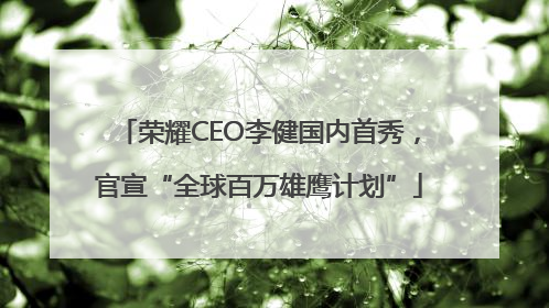 荣耀CEO李健国内首秀，官宣“全球百万雄鹰计划”