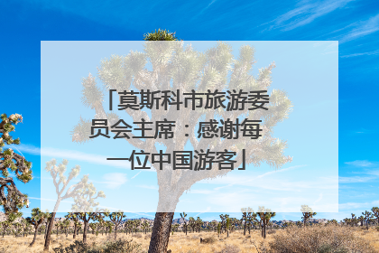 莫斯科市旅游委员会主席：感谢每一位中国游客