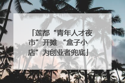 莲都“青年人才夜市”开摊 “盒子小店”为创业者兜底