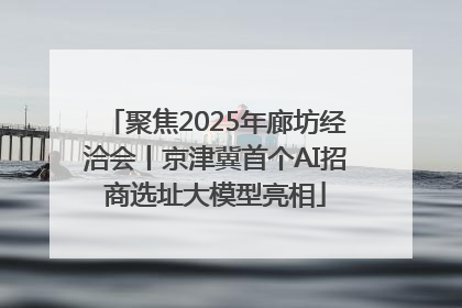 聚焦2025年廊坊经洽会丨京津冀首个AI招商选址大模型亮相