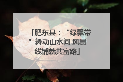 肥东县：“绿飘带”舞动山水间 风景线铺就共富路