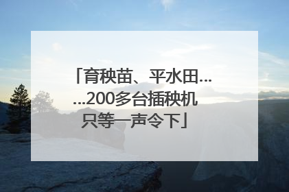 育秧苗、平水田……200多台插秧机只等一声令下
