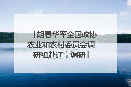 胡春华率全国政协农业和农村委员会调研组赴辽宁调研
