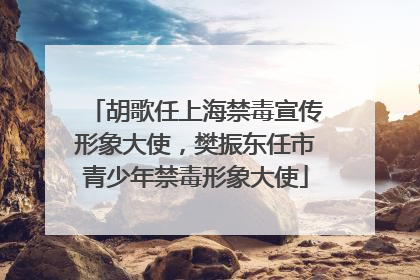 胡歌任上海禁毒宣传形象大使，樊振东任市青少年禁毒形象大使
