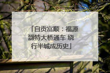 自贡富顺：福源灏特大桥通车 绕行半城成历史