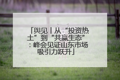 舆见丨从“投资热土”到“共赢生态”：峰会见证山东市场吸引力跃升