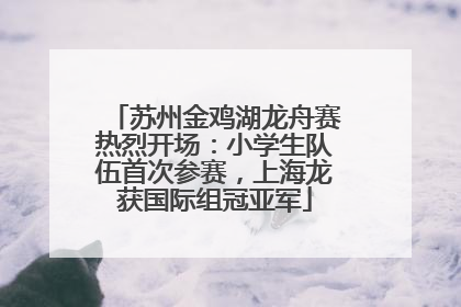 苏州金鸡湖龙舟赛热烈开场：小学生队伍首次参赛，上海龙获国际组冠亚军