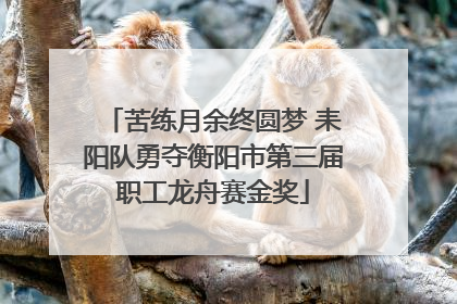 苦练月余终圆梦 耒阳队勇夺衡阳市第三届职工龙舟赛金奖