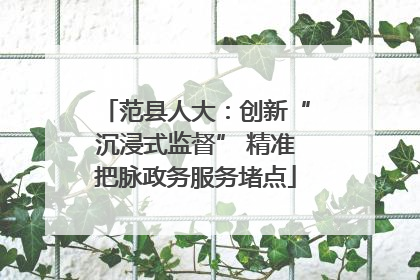 范县人大：创新“沉浸式监督” 精准把脉政务服务堵点