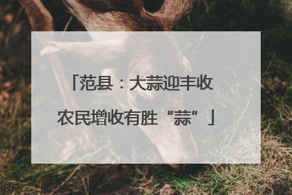 范县：大蒜迎丰收 农民增收有胜“蒜”