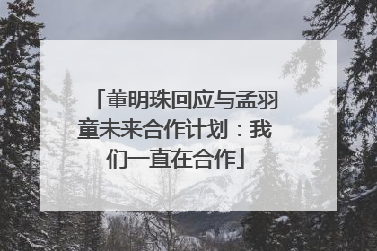 董明珠回应与孟羽童未来合作计划：我们一直在合作