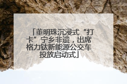 董明珠沉浸式“打卡”宁乡非遗，出席格力钛新能源公交车投放启动式